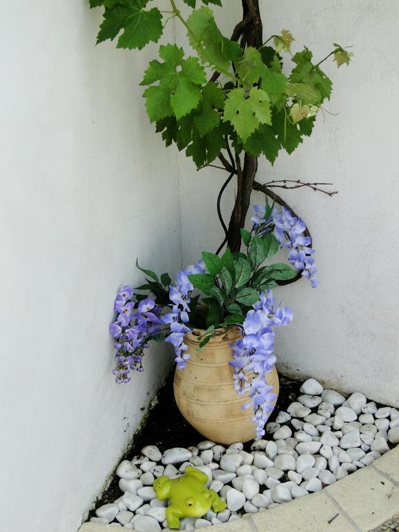 La Petite Maison sur l'Ile de Ré La Flotte Exterior foto