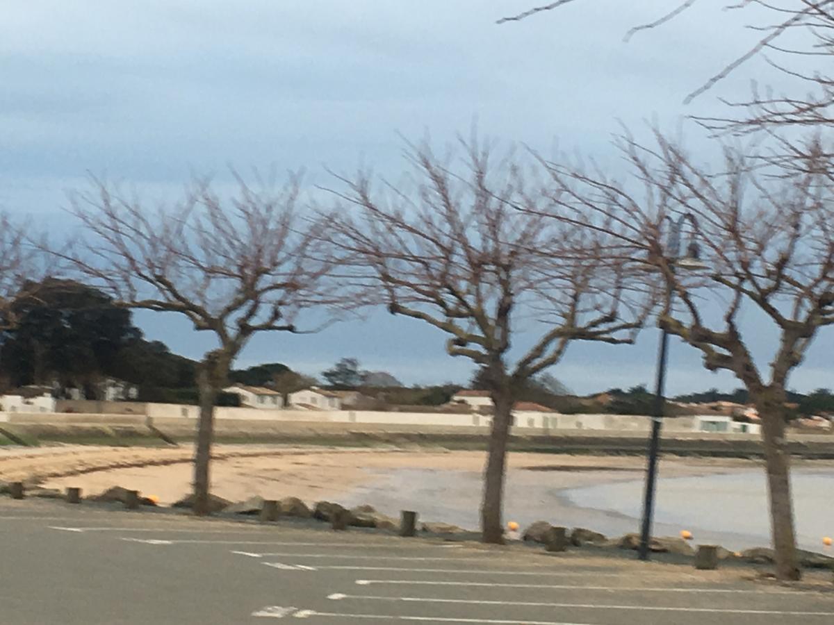 La Petite Maison sur l'Ile de Ré La Flotte Exterior foto